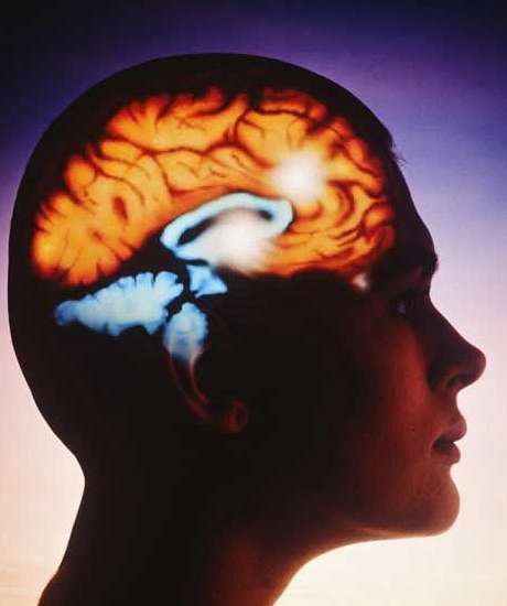 Las diferentes inteligencias del cuerpo humano, en ‘Reflexiones para el bienestar’