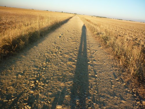 CAMINO EN COMPAÑÍA