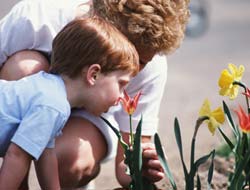 Oímos, olemos, vemos…¿percibimos?, en «Espacios de Familia»