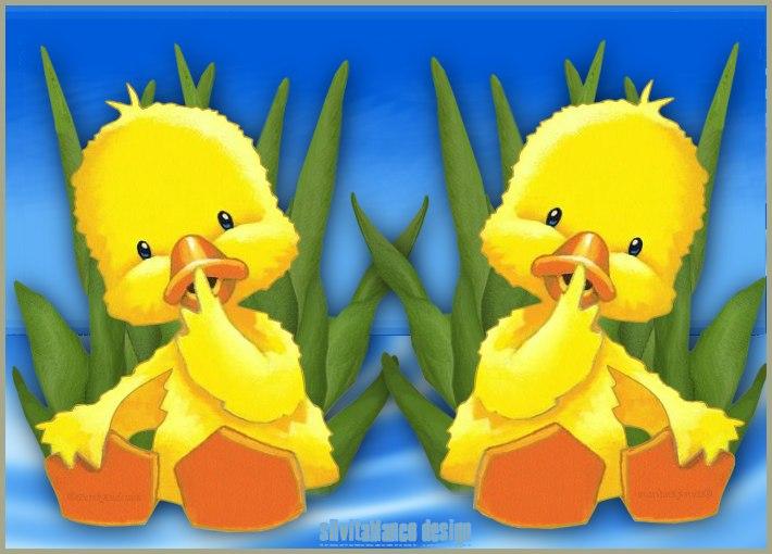 El cielo de los patos, en «Espacios de Familia»