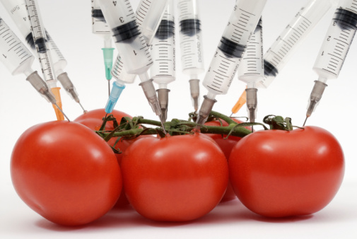 El hambre, en ‘Lo importante es la salud’