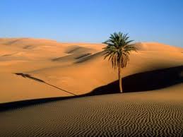 «En el desierto… resistir»… Adviento en ‘Haciendo Iglesia’