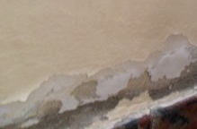 Las humedades en «Respirando ciudad»