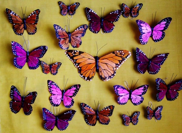 Coleccionista de mariposas, en ‘De camino por la vida’