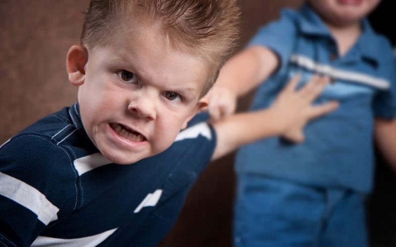 ¿Con la violencia se nace?, en ‘De camino por la vida’