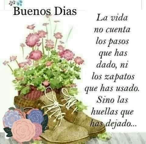 Los sabios Whatsapp, en ‘De camino por la vida’