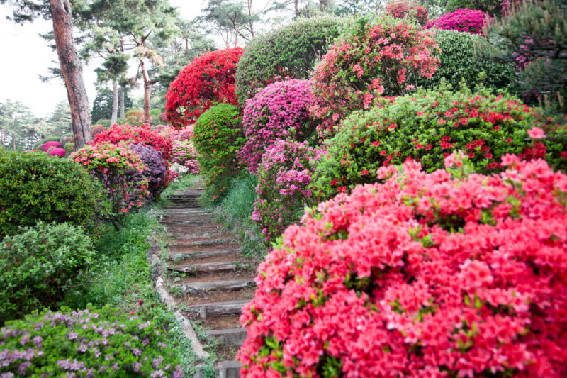 Sendero y escalera en la vida, en ‘De camino por la vida’