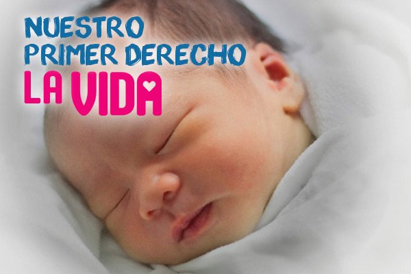 ¡Que viva la vida! y la actualidad sobre el derecho a la vida